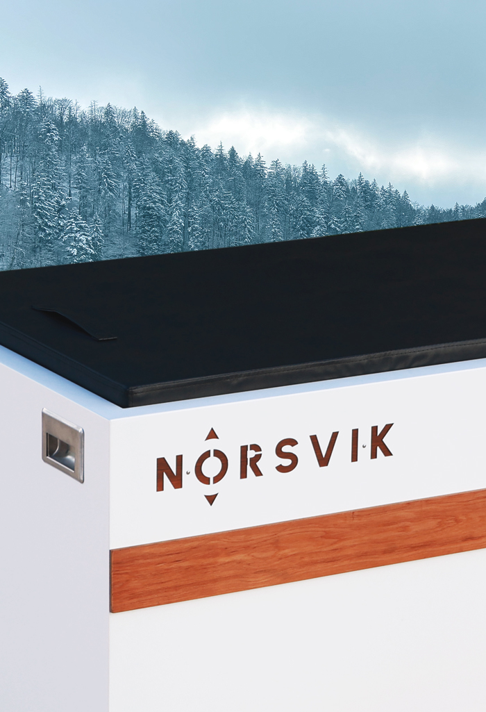 odin logo norsvik